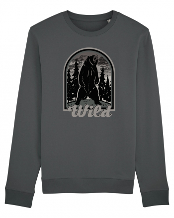 Mountain Bear Anthracite