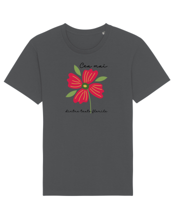Cea mai floare Anthracite