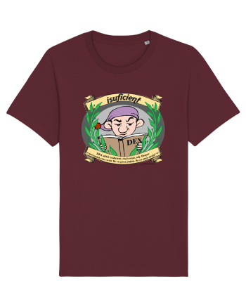 Isuficient - DEX altfel Burgundy