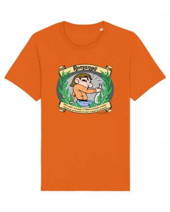 Limba Romanga / Romana  / manga- DEX altfel Bright Orange