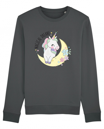 Magical Dreams Unicorn Anthracite