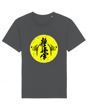 Kyokushin Karate  Anthracite