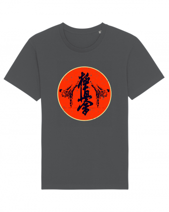 Kyokushin Karate  Anthracite