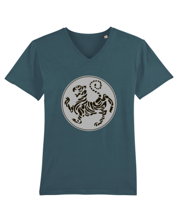 Shotokan Karate Stargazer