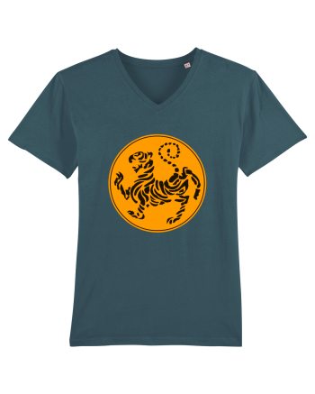 Shotokan Karate Stargazer