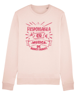 Responsabila cu muzica de bumti bumti Bluză mânecă lungă Unisex Rise