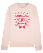 Responsabila cu stripperii Bluză mânecă lungă Unisex Rise