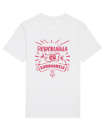 Responsabila cu zorzoanele Tricou mânecă scurtă Unisex Rocker
