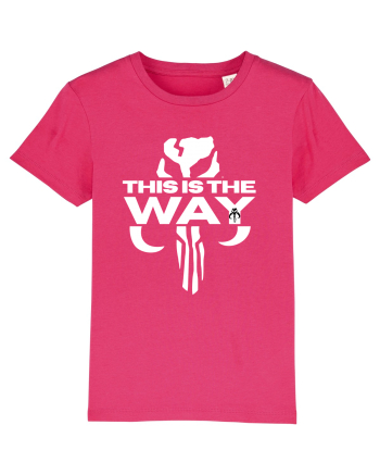 Mandalorian This Is The Way Raspberry