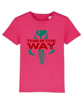 Mandalorian This Is The Way Raspberry