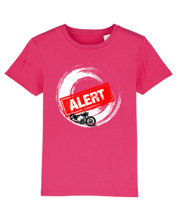 Motorcycle Alert Raspberry