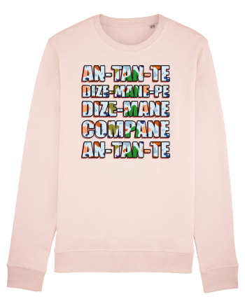 An-tan-te Candy Pink