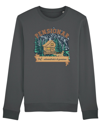 Pensionar Anthracite