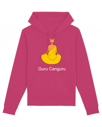 Guru Canguru Raspberry