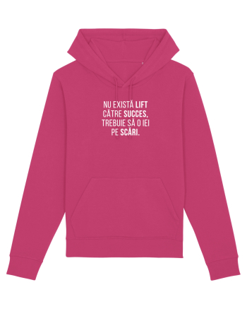 Pe Scări Raspberry