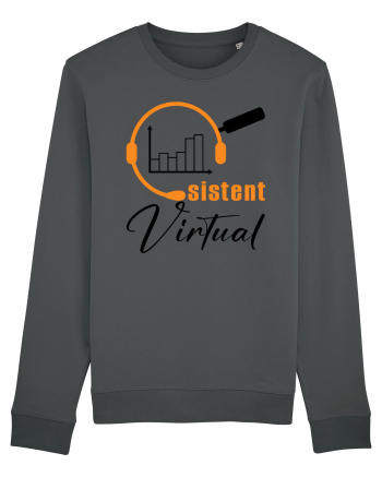 Asistent virtual Anthracite