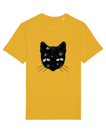 Galactic Cat Spectra Yellow