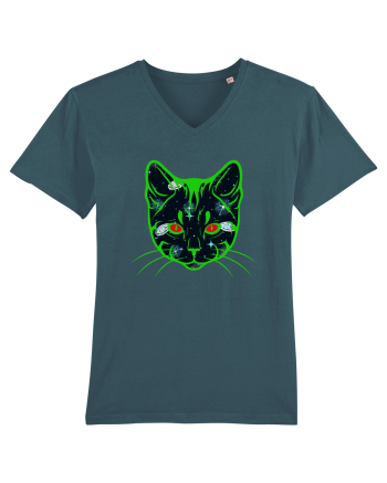 Galactic Cat Stargazer