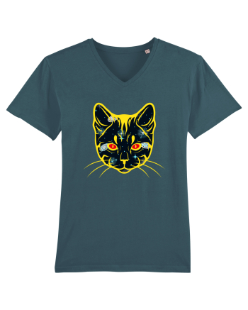 Galactic Cat Stargazer