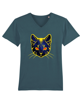 Galactic Cat Stargazer