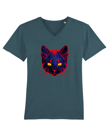 Galactic Cat Stargazer