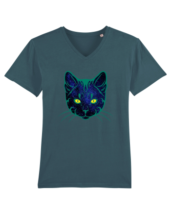 Galactic Cat Stargazer