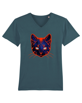 Galactic Cat Stargazer