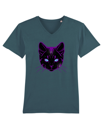 Galactic Cat Stargazer