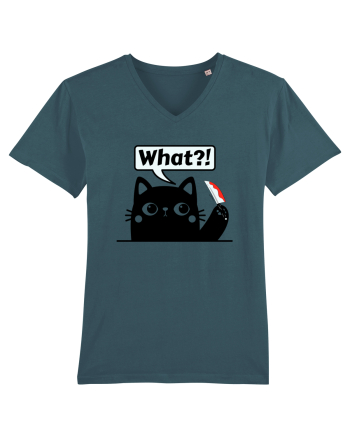 Funny Killer Kitty Stargazer