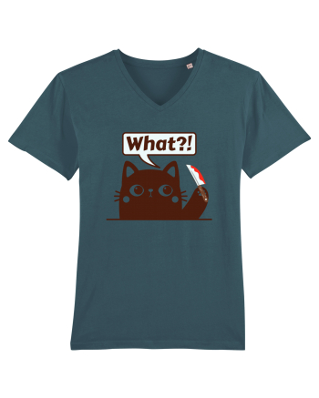 Funny Killer Kitty Stargazer