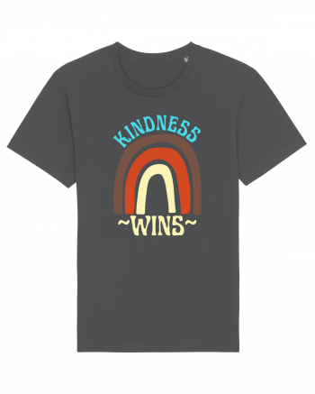 Kindness Wins Anthracite