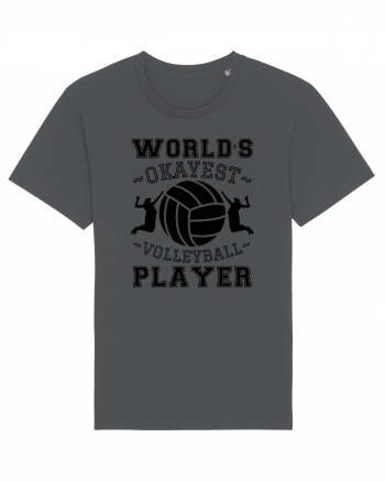 World'S Okayest Volleyball Player Anthracite