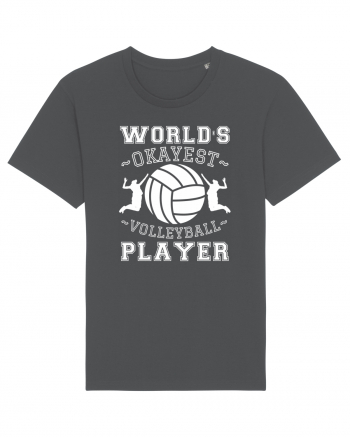 World'S Okayest Volleyball Player Anthracite