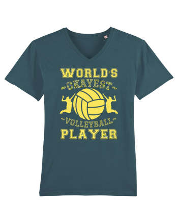 World'S Okayest Volleyball Player Stargazer