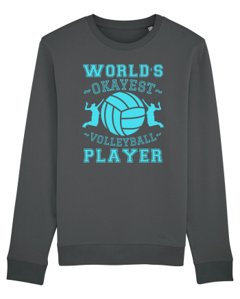 World'S Okayest Volleyball Player Anthracite