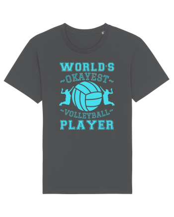 World'S Okayest Volleyball Player Anthracite