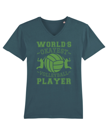 World'S Okayest Volleyball Player Stargazer