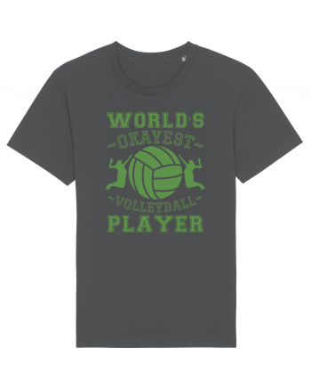 World'S Okayest Volleyball Player Anthracite