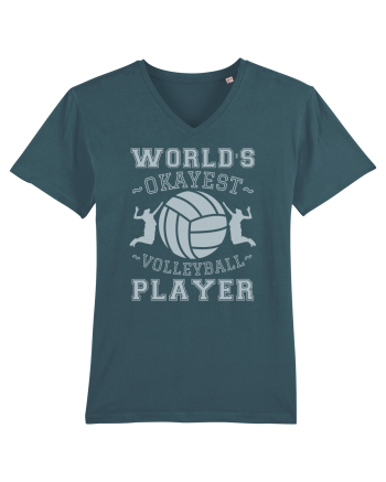 World'S Okayest Volleyball Player Stargazer