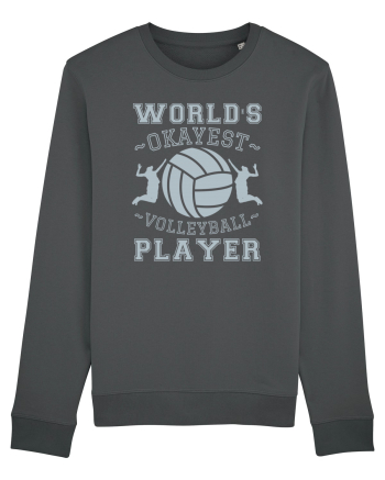 World'S Okayest Volleyball Player Anthracite