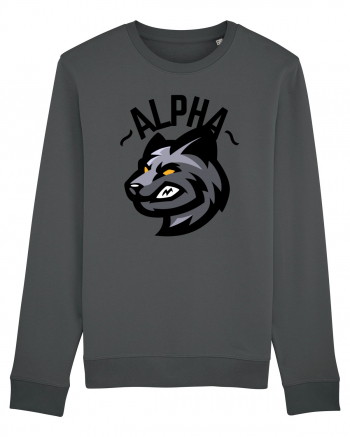 Alpha Wolf Anthracite