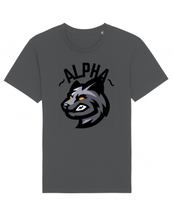 Alpha Wolf Anthracite