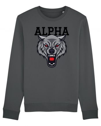 Alpha Wolf Anthracite