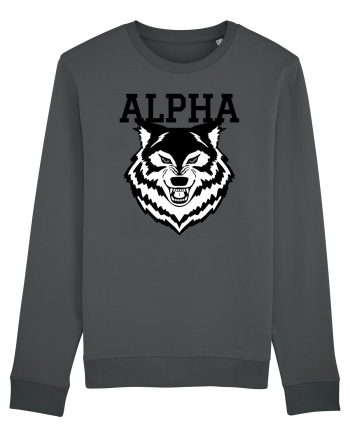 Alpha Wolf Anthracite