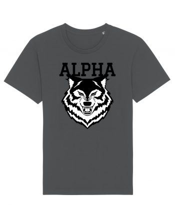 Alpha Wolf Anthracite