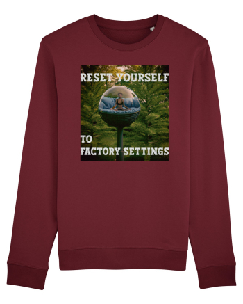 Reset yourself to factory settings Burgundy
