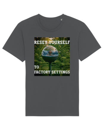 Reset yourself to factory settings Anthracite