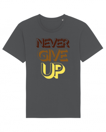 Never Give Up Anthracite