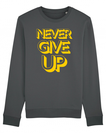 Never Give Up Anthracite