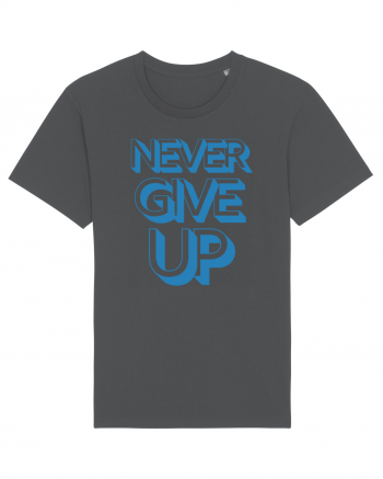 Never Give Up Anthracite